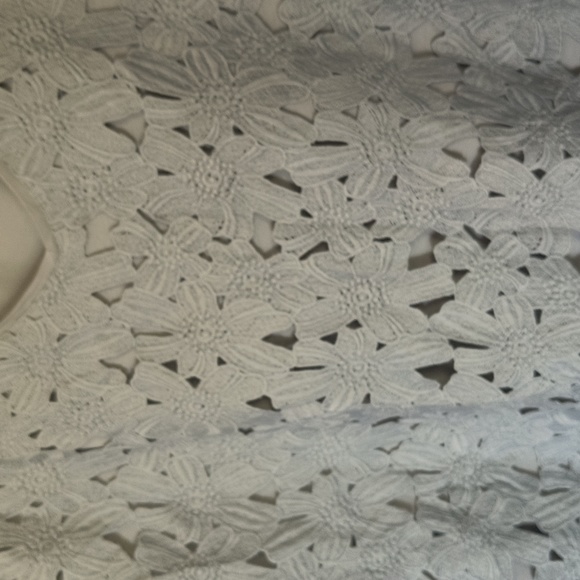 J.Jill Gray Crochet Lace Overlay 3/4 Sleeve Blouse Sz 4XL Women - Picture 5 of 10